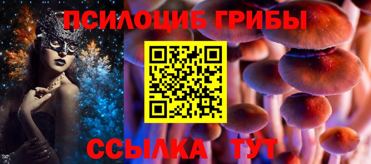 Псилоцибиновые грибы GOLDEN TEACHER  Вход с VPN  Находка 